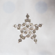 Star - Brooch Norma - 1